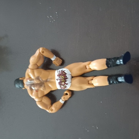 Wrestler - Picture 2 of 2